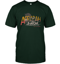 Load image into Gallery viewer, Disney Aladdin Agrabah Flying Over The City Of Mystery Men's T-Shirt
